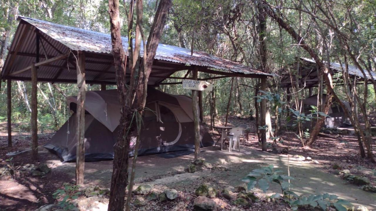 Campamento Yaax Che En Calakmul Conhuas Exteriör bild