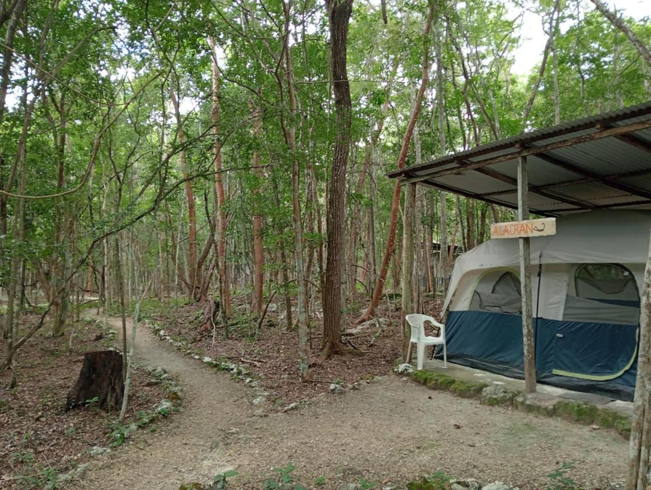 Campamento Yaax Che En Calakmul Conhuas Exteriör bild