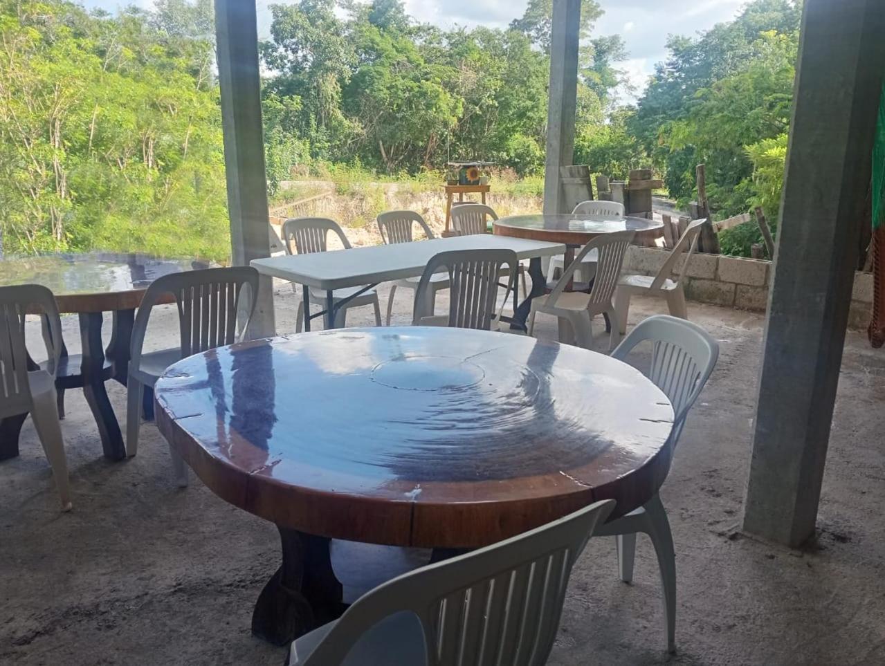 Campamento Yaax Che En Calakmul Conhuas Exteriör bild