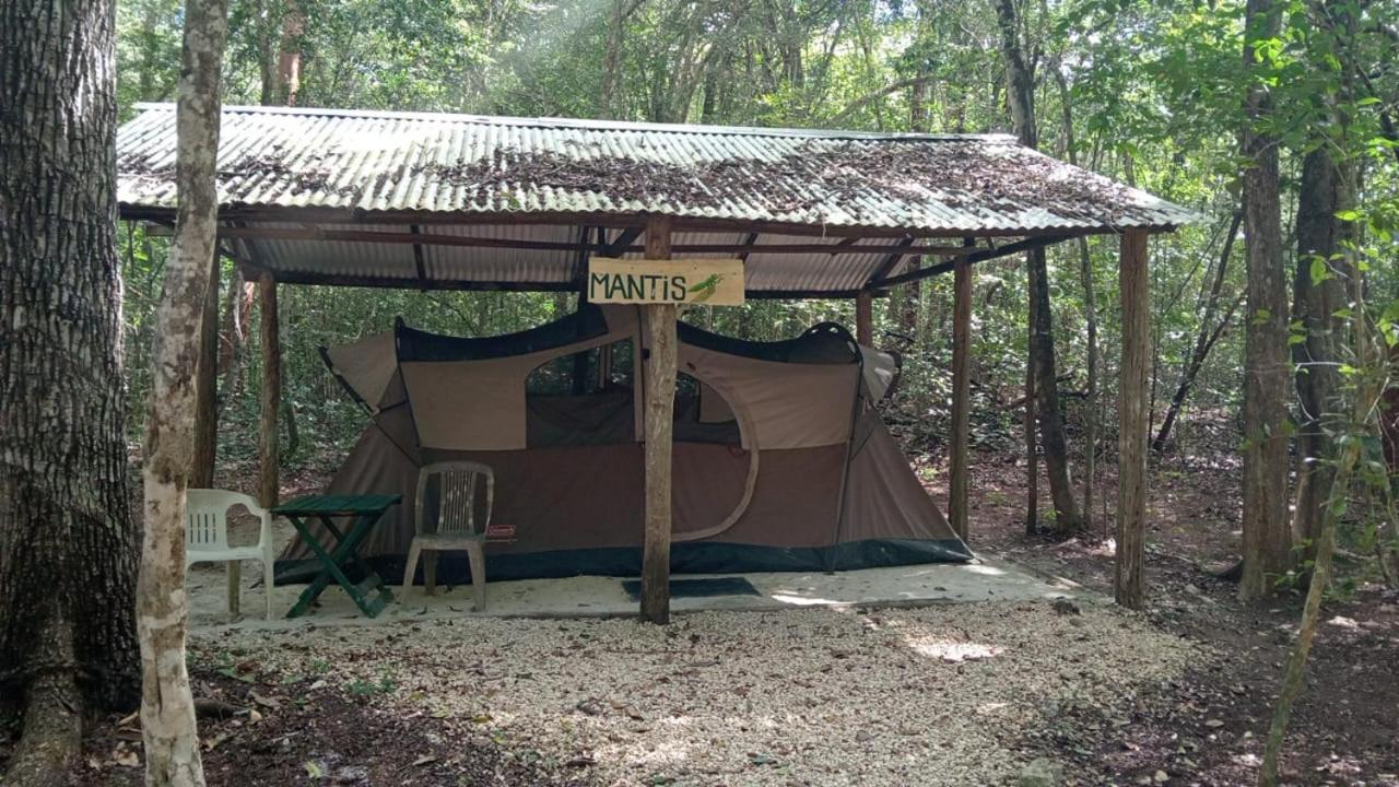 Campamento Yaax Che En Calakmul Conhuas Rum bild