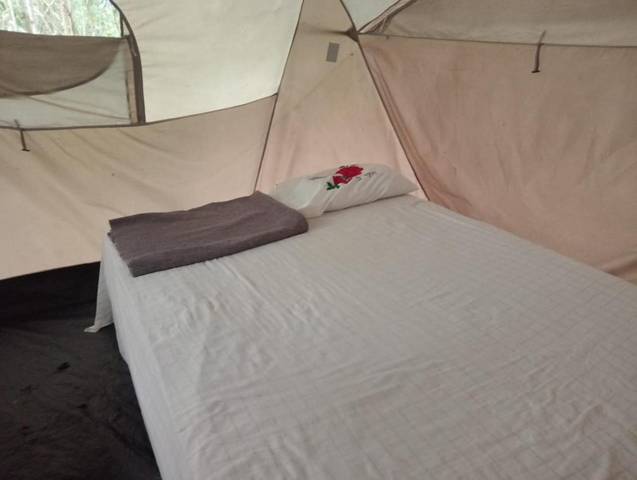 Campamento Yaax Che En Calakmul Conhuas Rum bild