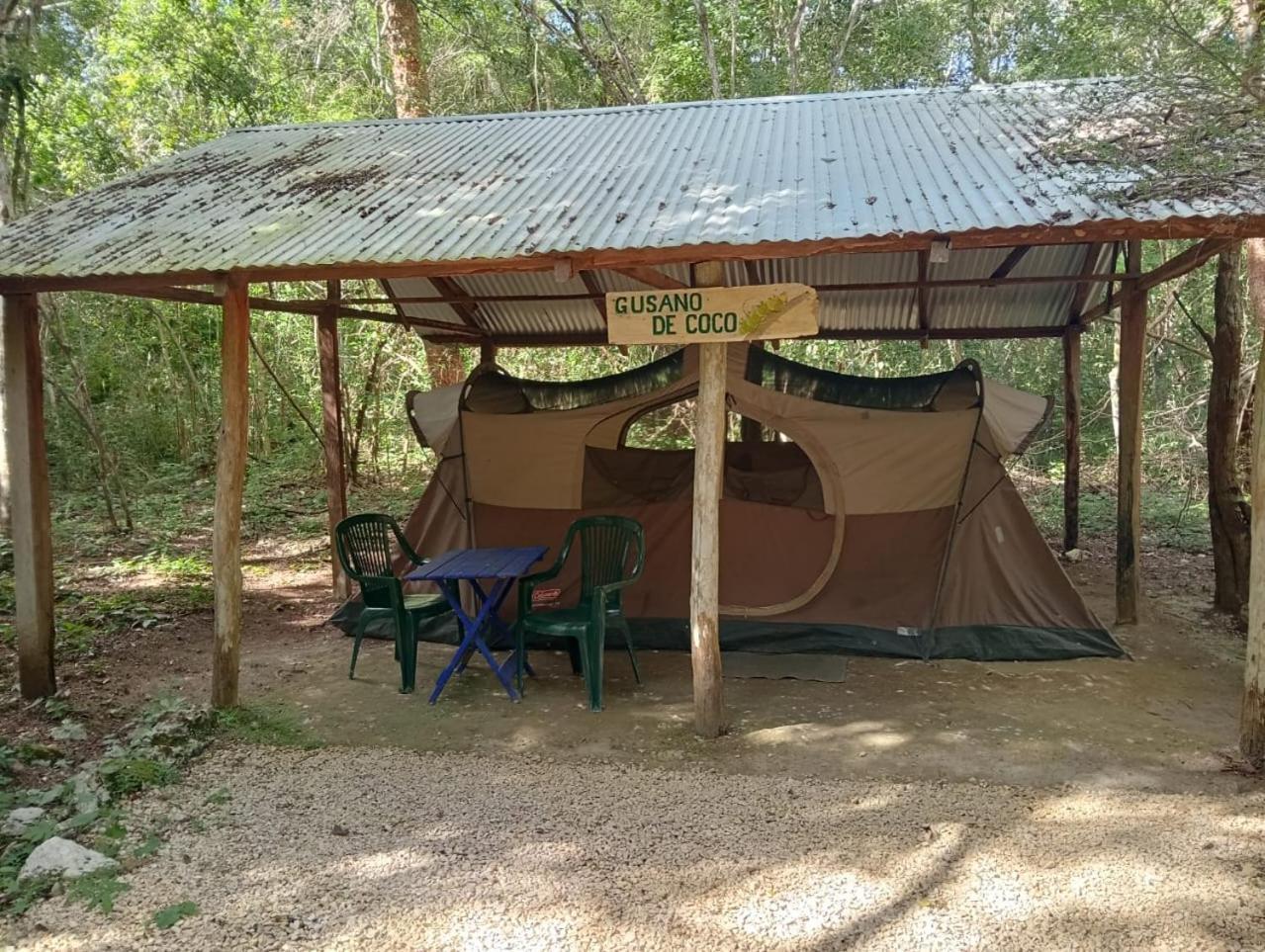 Campamento Yaax Che En Calakmul Conhuas Exteriör bild