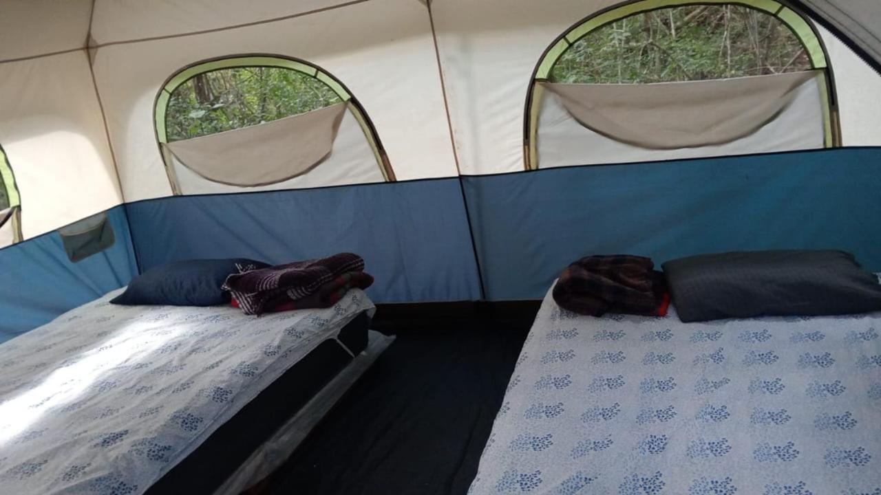 Campamento Yaax Che En Calakmul Conhuas Rum bild