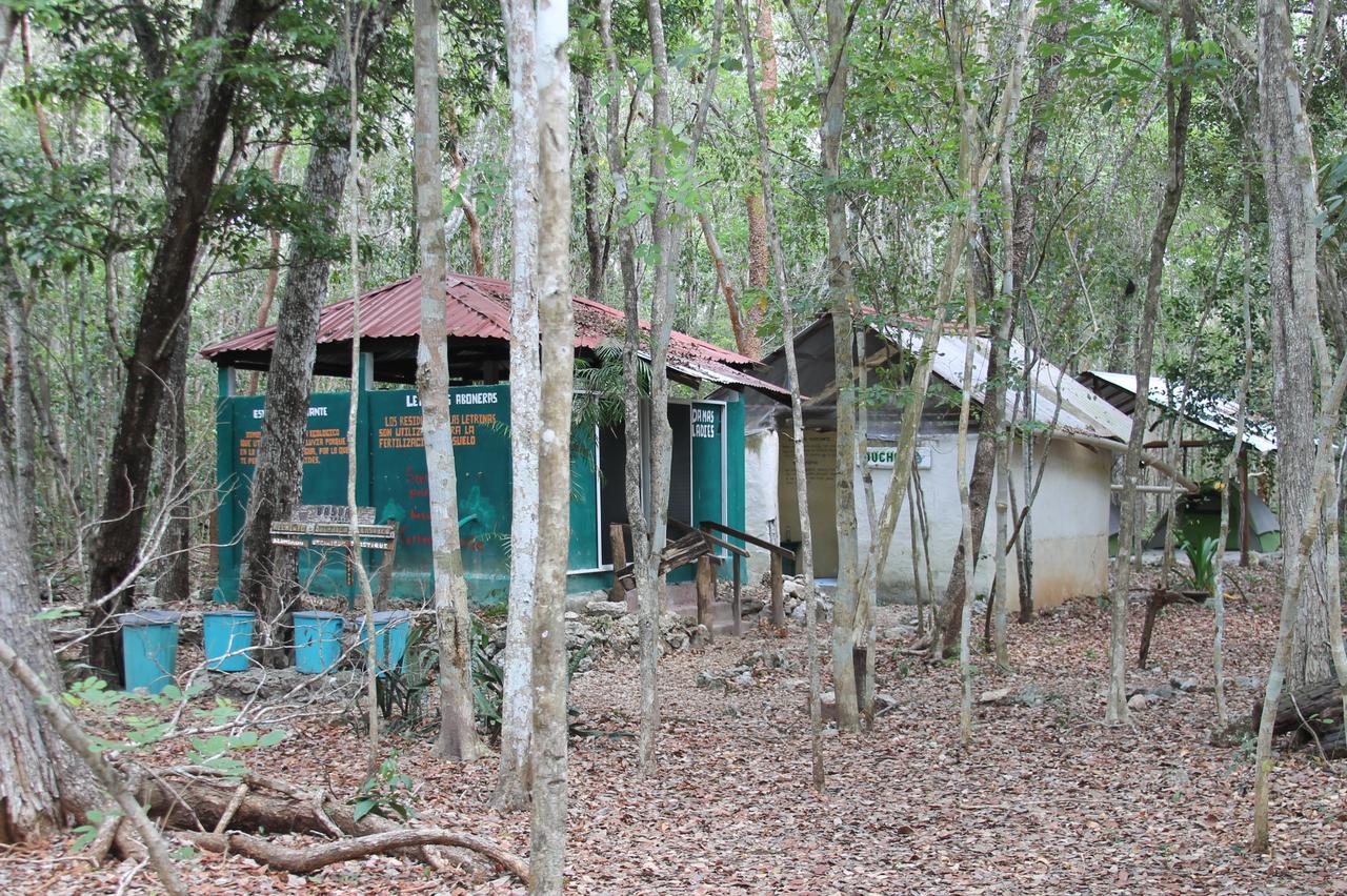 Campamento Yaax Che En Calakmul Conhuas Exteriör bild